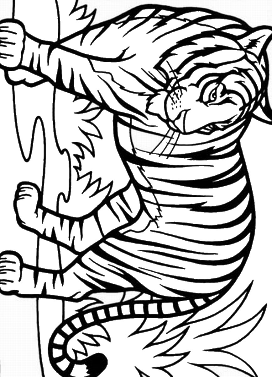 Tiger Coloring Pages for Kids Printable 101