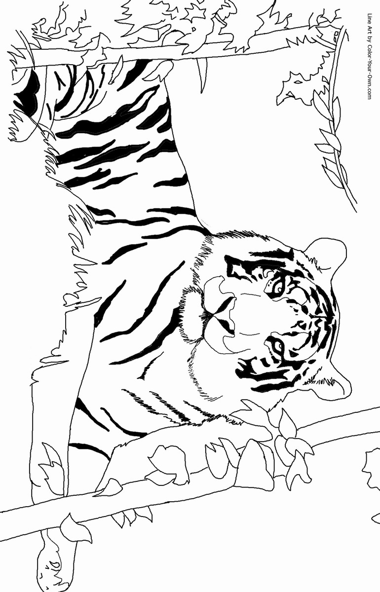 Tiger Coloring Pages for Kids Printable 106