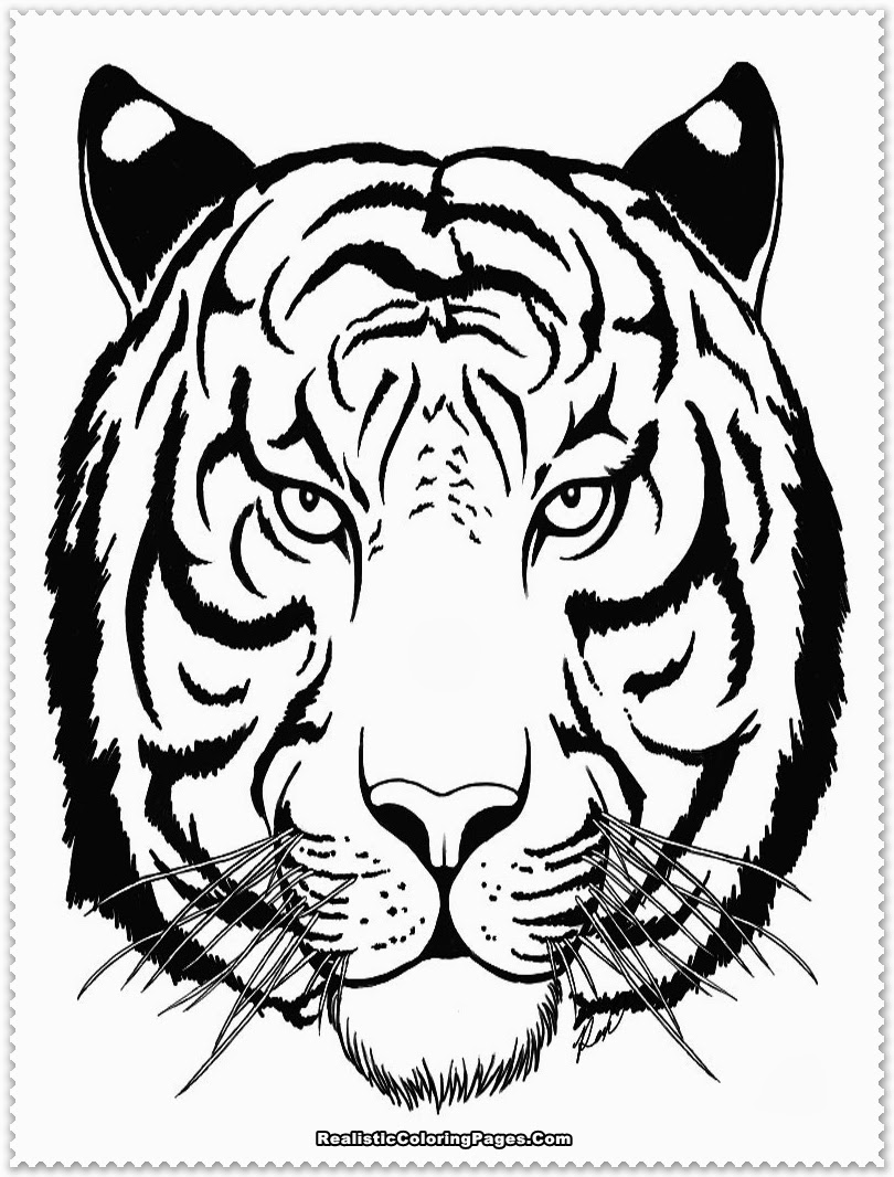 Tiger Coloring Pages for Kids Printable 16