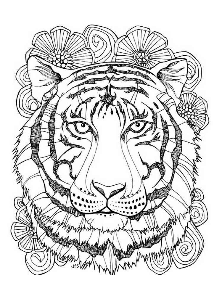 Tiger Coloring Pages for Kids Printable 17