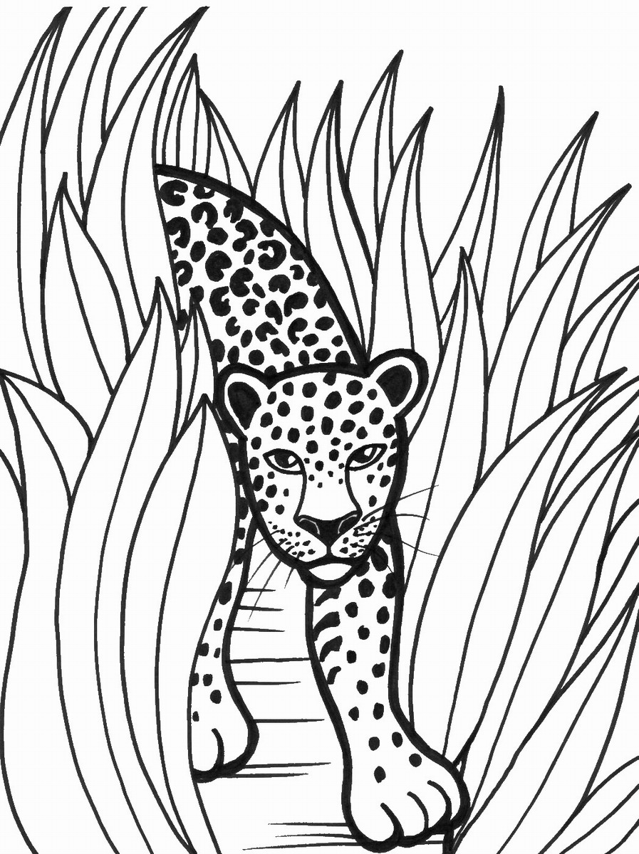 Tiger Coloring Pages for Kids Printable 2