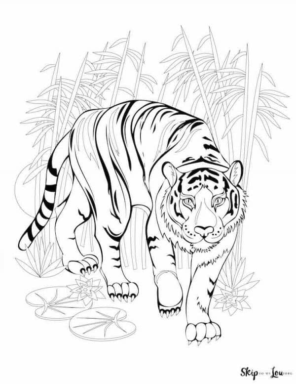 Tiger Coloring Pages for Kids Printable 25