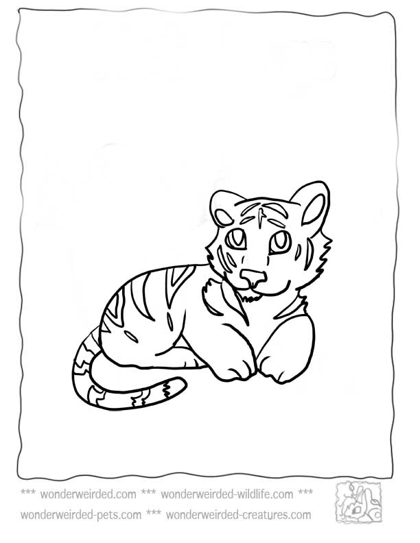 Tiger Coloring Pages for Kids Printable 27