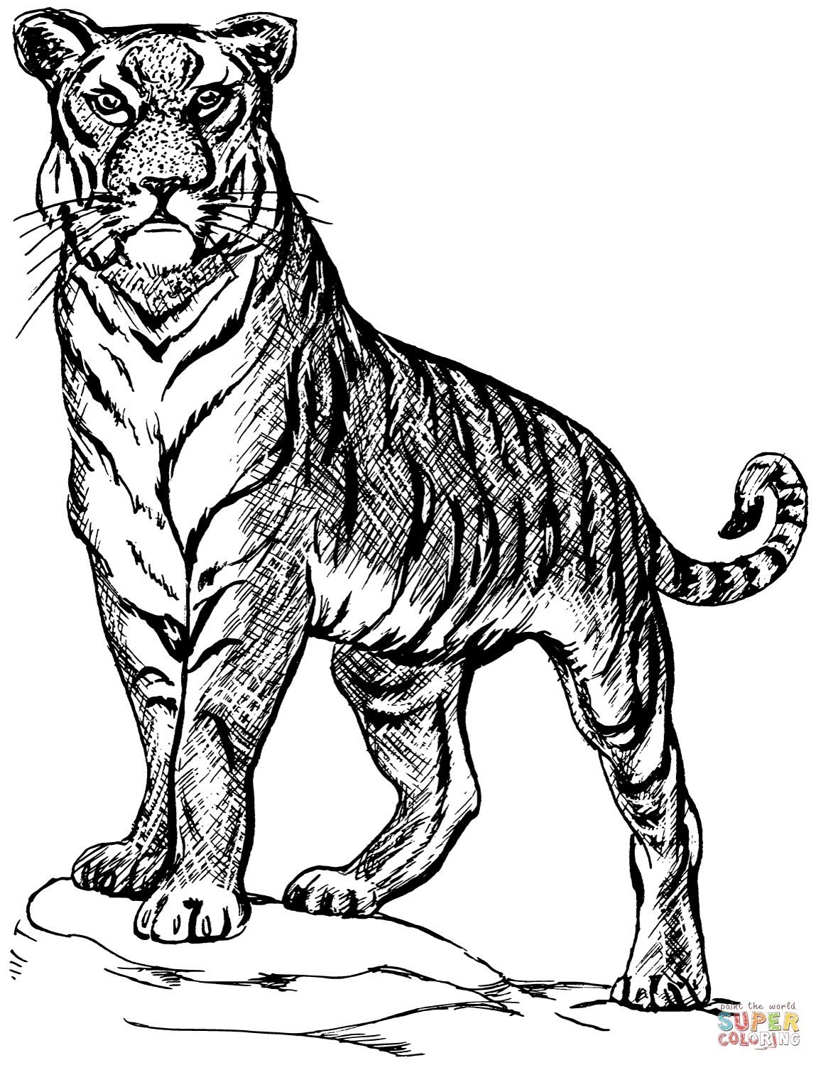 Tiger Coloring Pages for Kids Printable 31