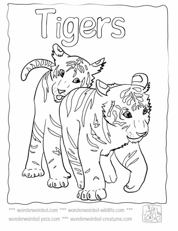 Tiger Coloring Pages for Kids Printable 33