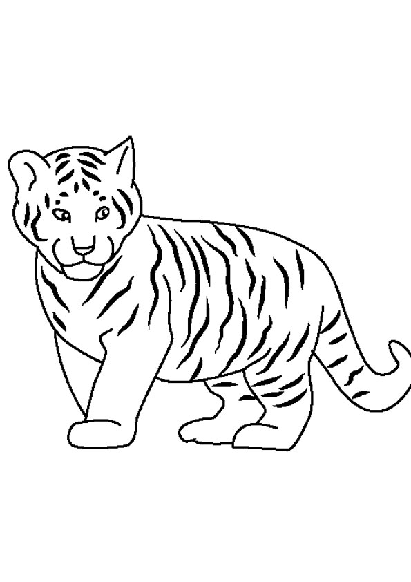 Tiger Coloring Pages for Kids Printable 41