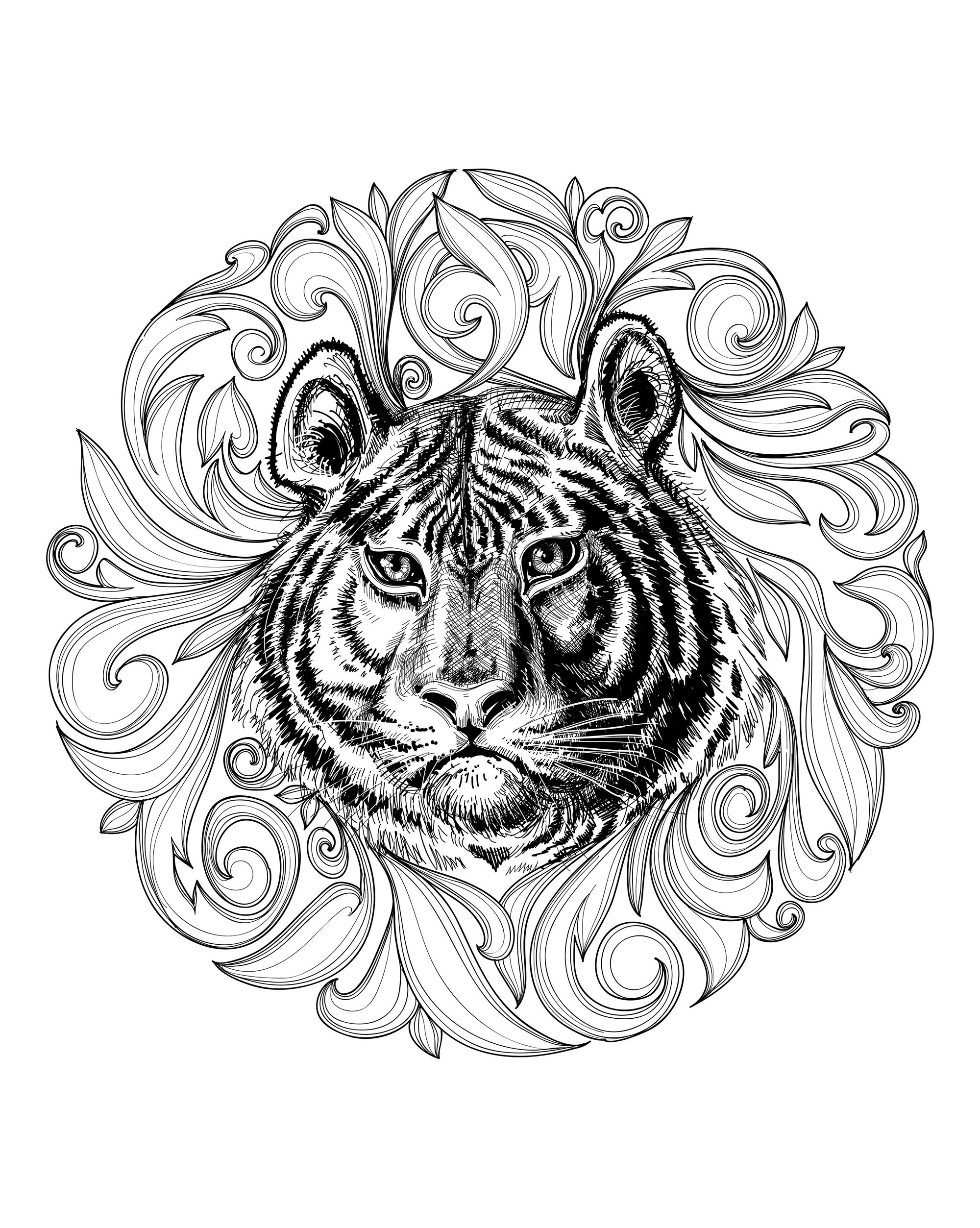 Tiger Coloring Pages for Kids Printable 47