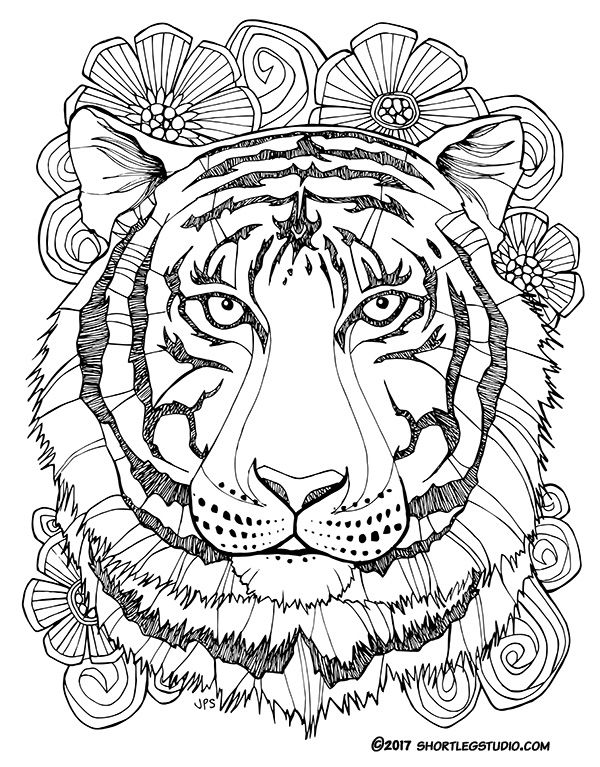 Tiger Coloring Pages for Kids Printable 6