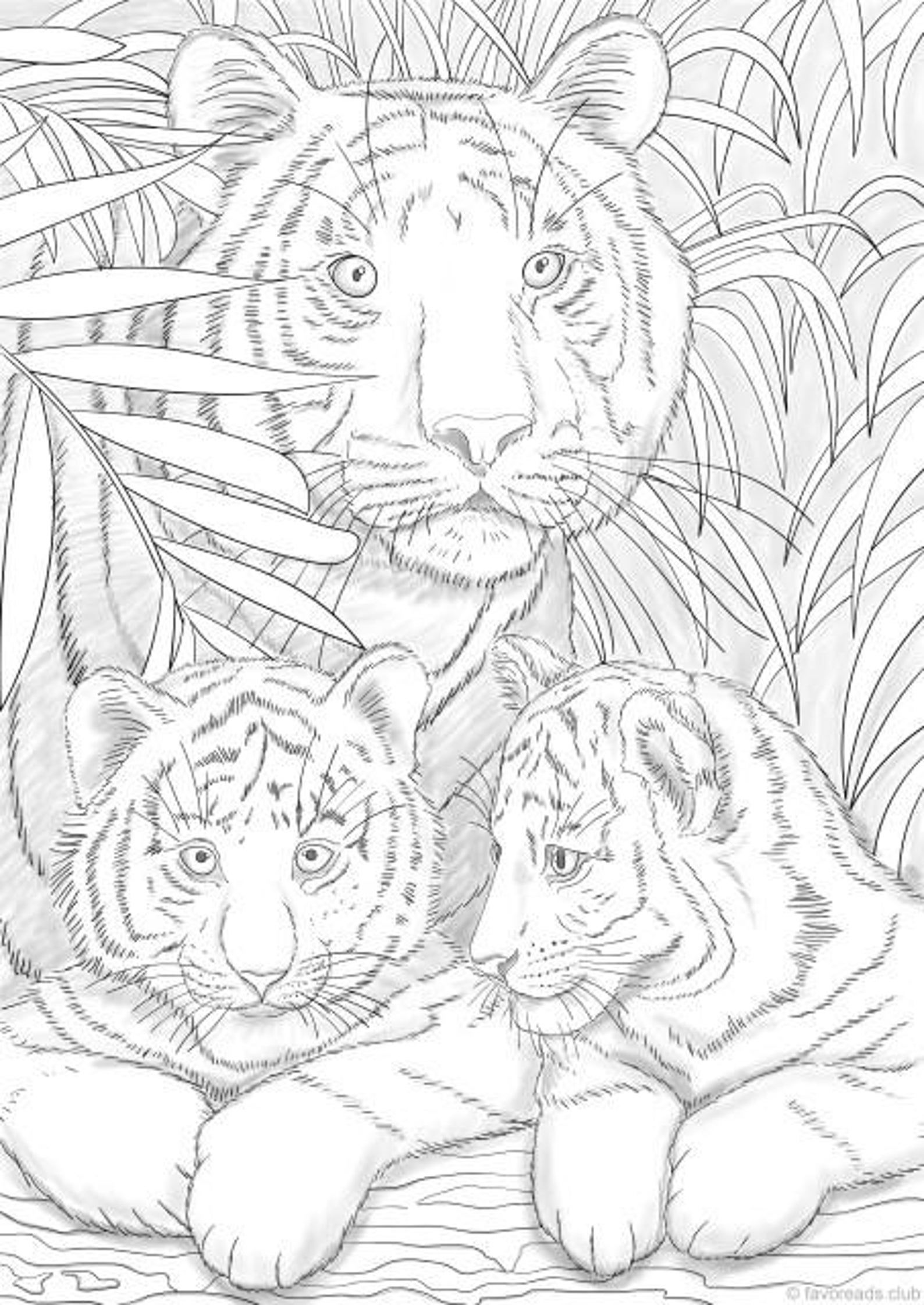 Tiger Coloring Pages for Kids Printable 63