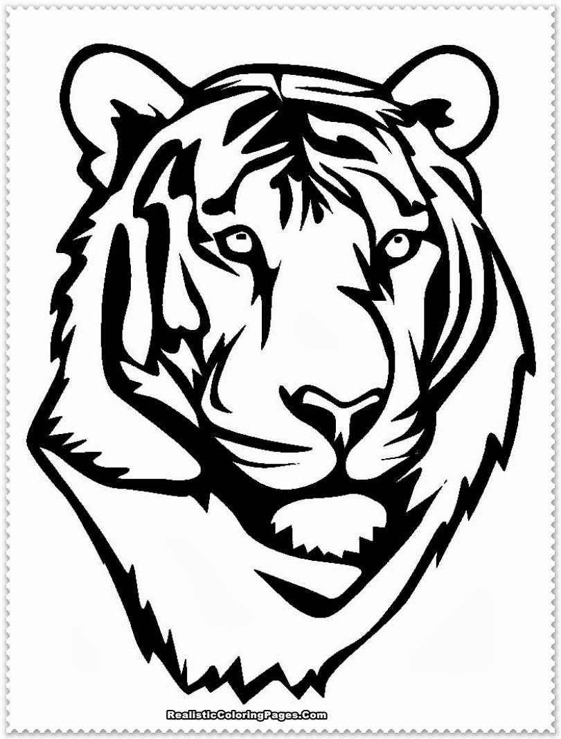 Tiger Coloring Pages for Kids Printable 67