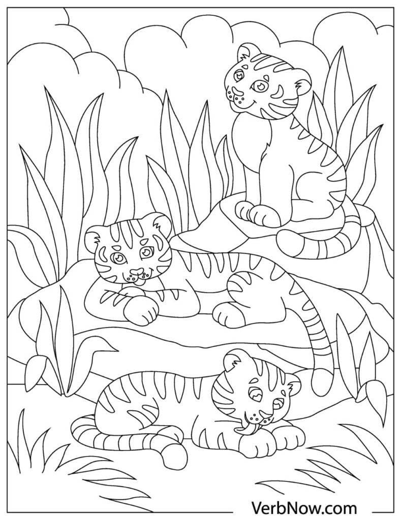 Tiger Coloring Pages for Kids Printable 77