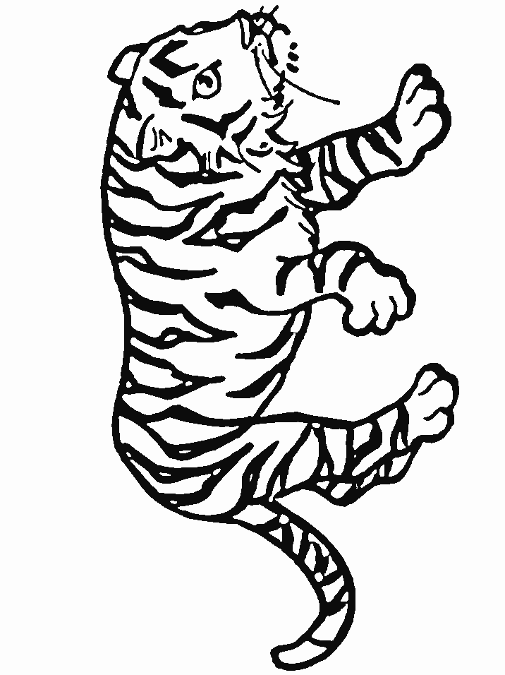 Tiger Coloring Pages for Kids Printable 88