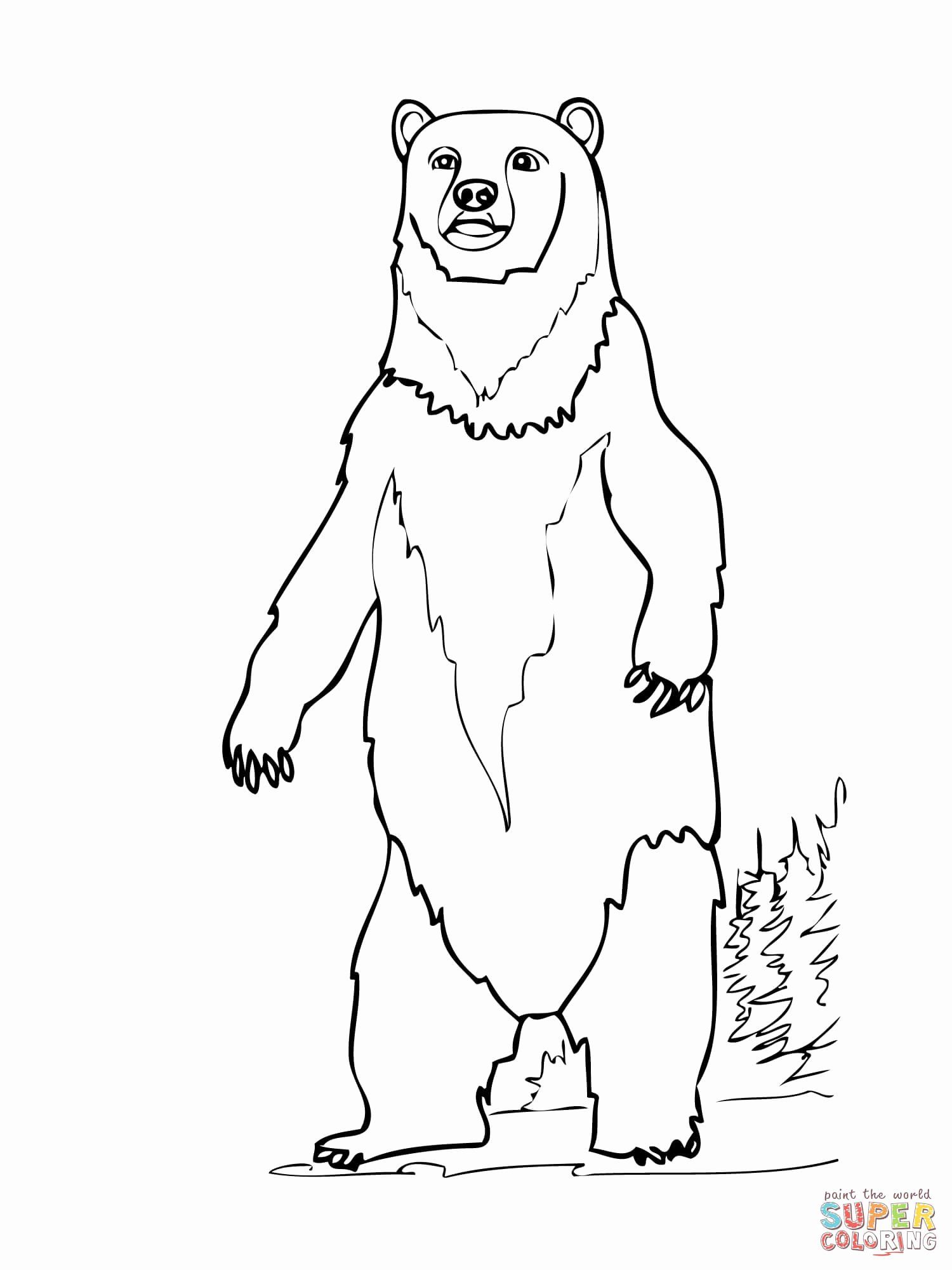 Bear Coloring Pages Free Printable 104