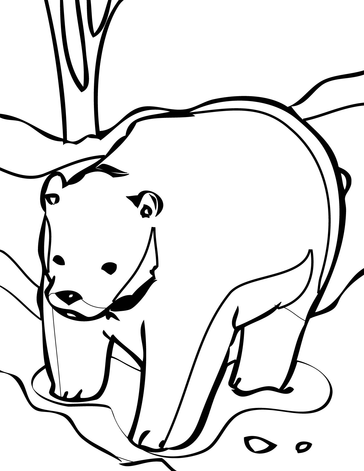 Bear Coloring Pages Free Printable 107