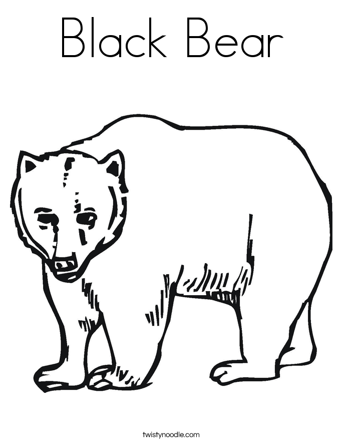 Bear Coloring Pages Free Printable 137