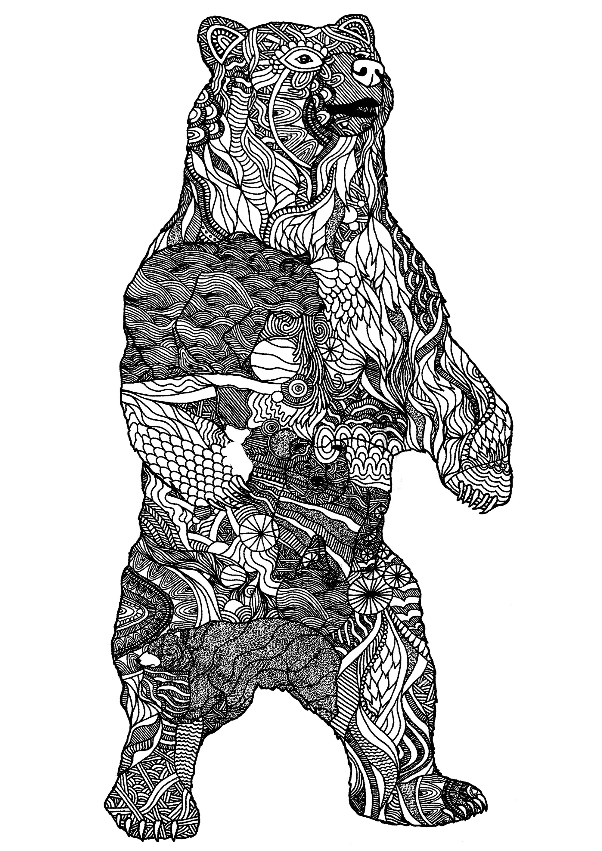 Bear Coloring Pages Free Printable 141