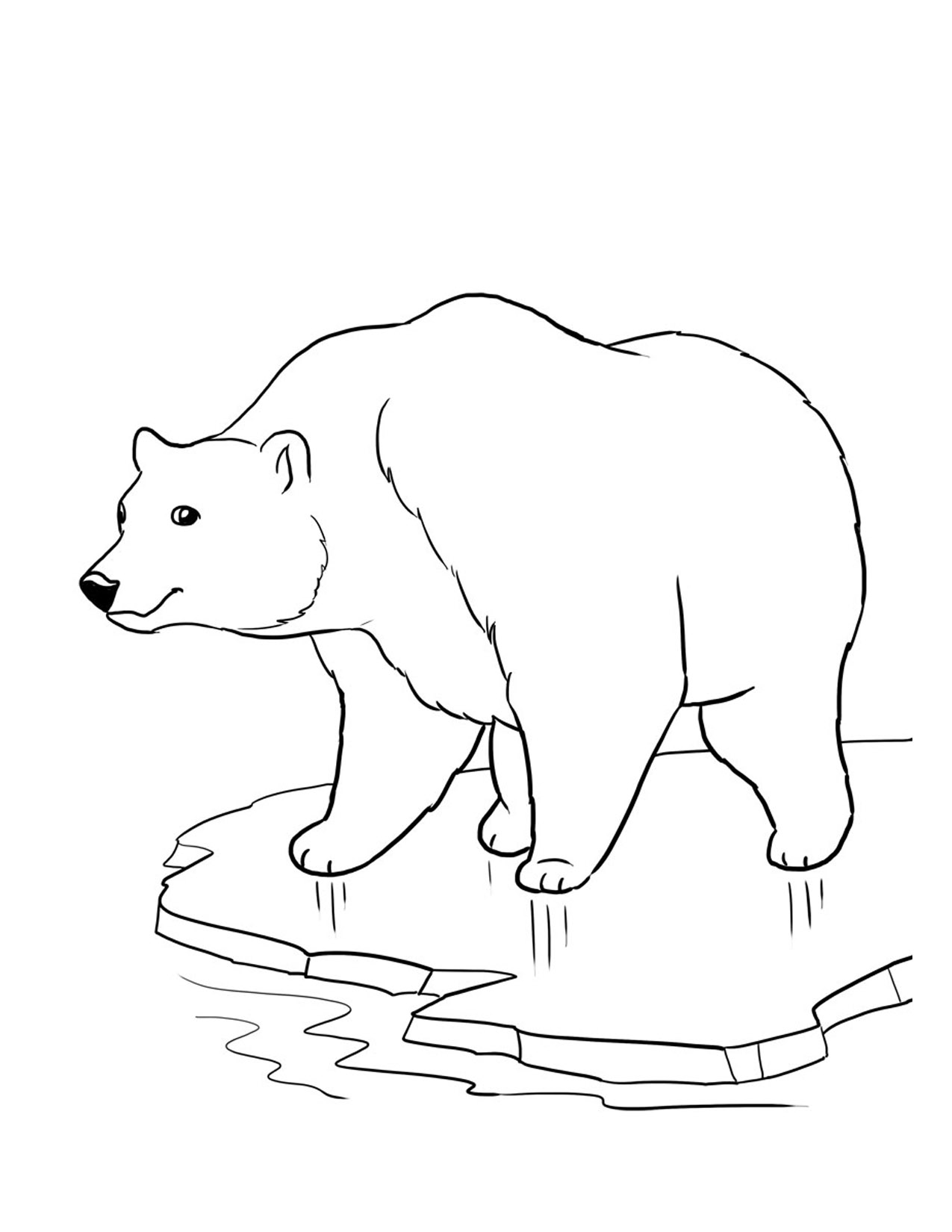 Bear Coloring Pages Free Printable 150