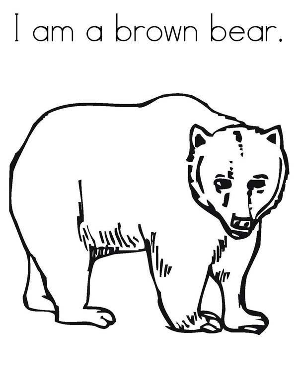 Bear Coloring Pages Free Printable 165