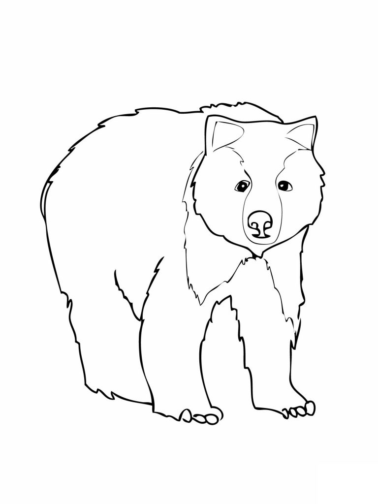 Bear Coloring Pages Free Printable 172