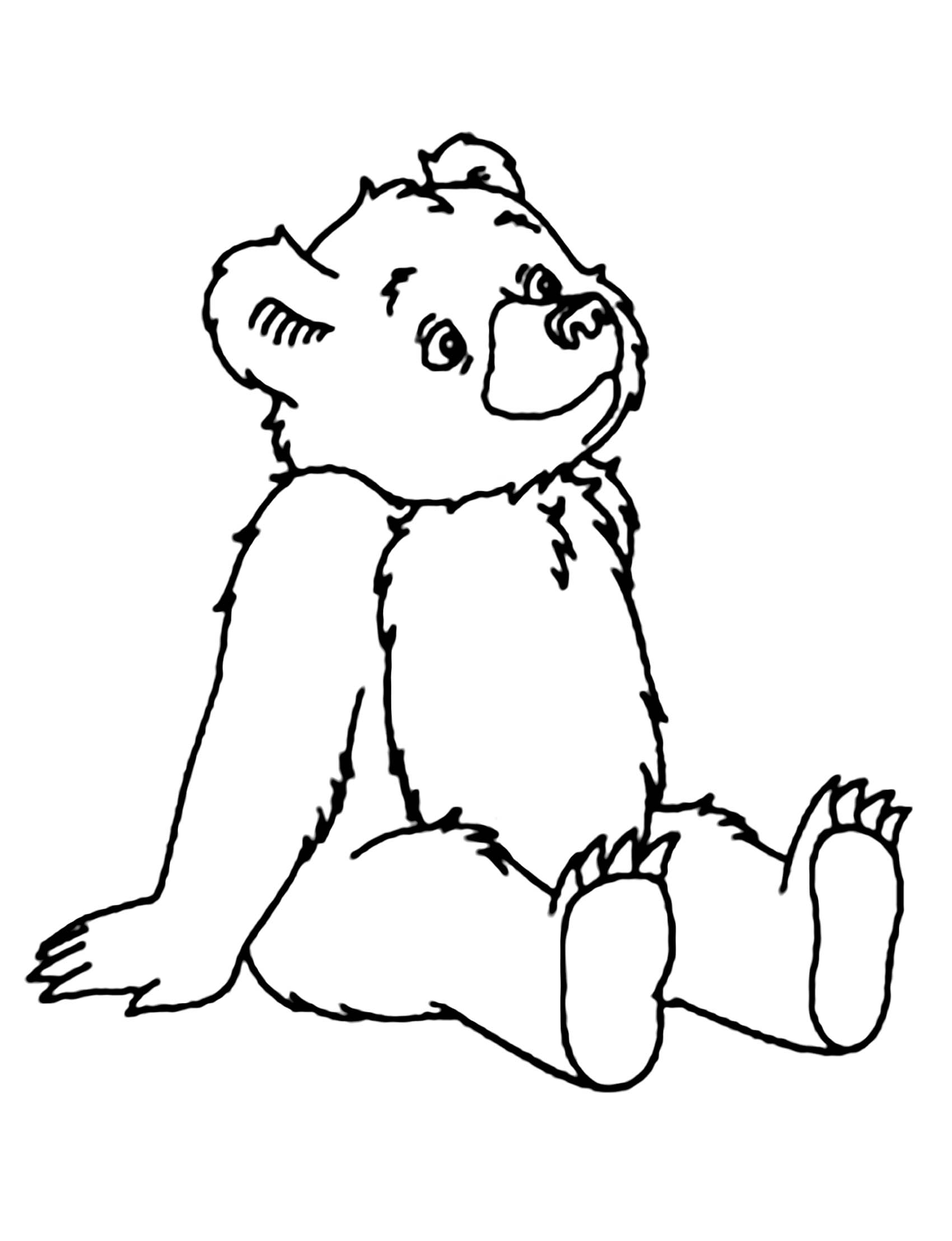 Bear Coloring Pages Free Printable 3