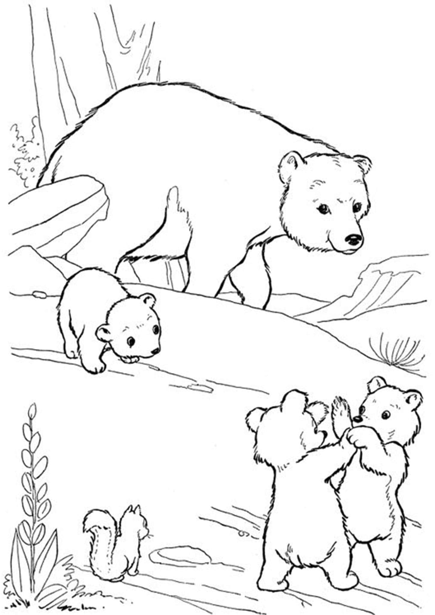 Bear Coloring Pages Free Printable 31