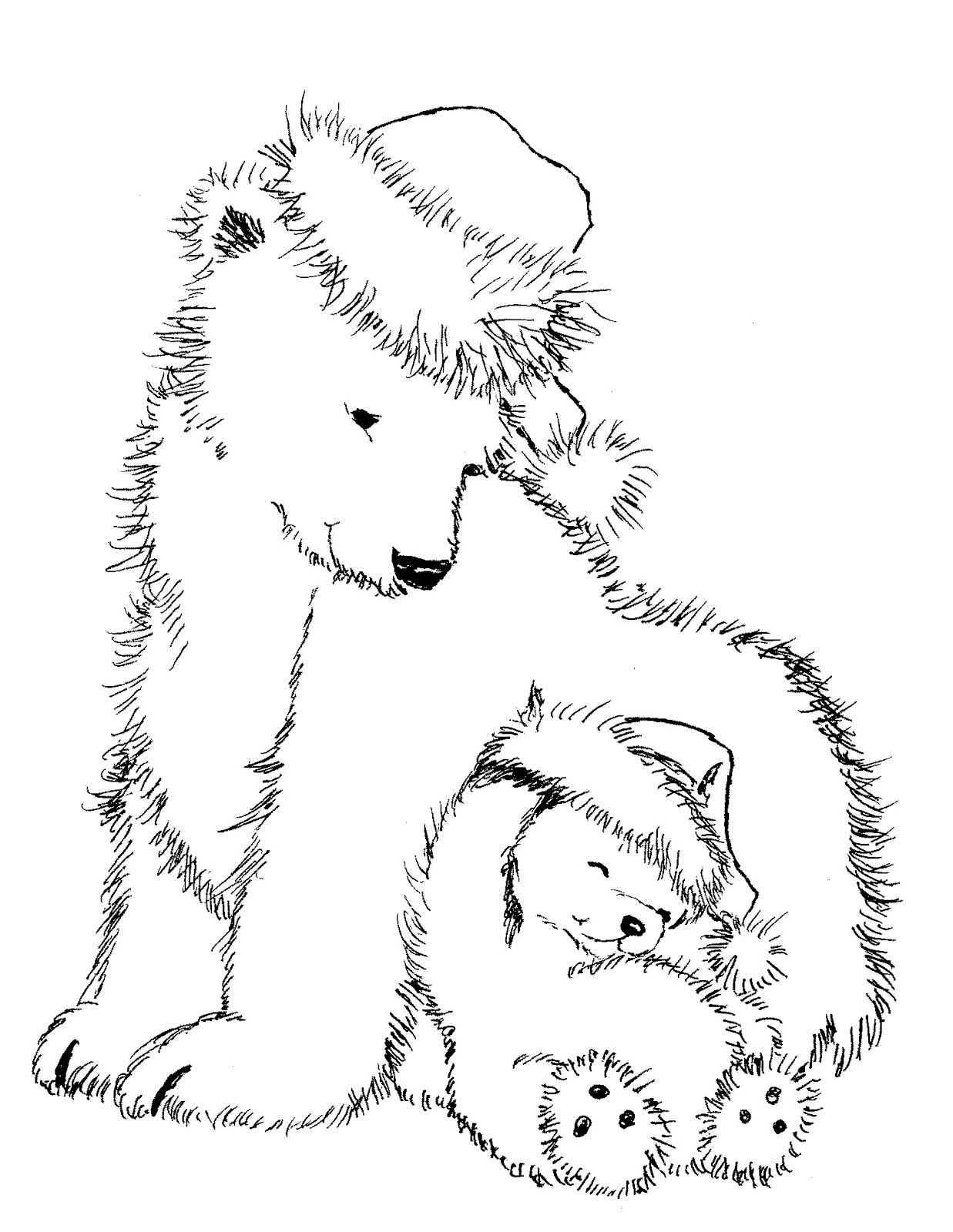 Bear Coloring Pages Free Printable 38