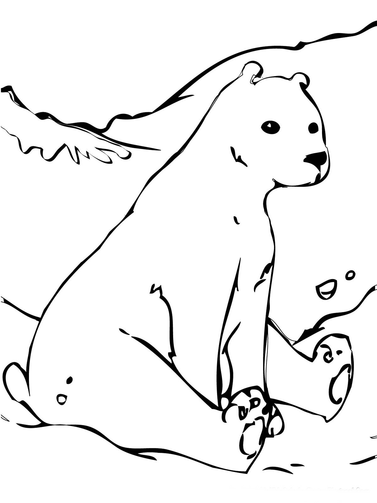 Bear Coloring Pages Free Printable 58