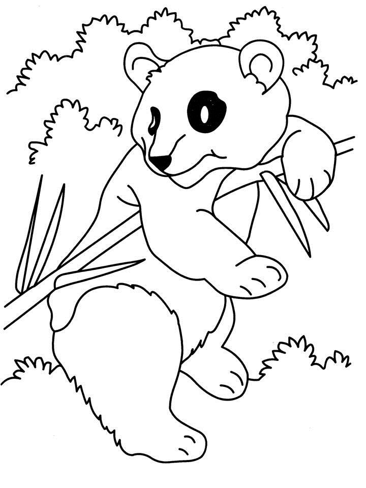 Bear Coloring Pages Free Printable 72