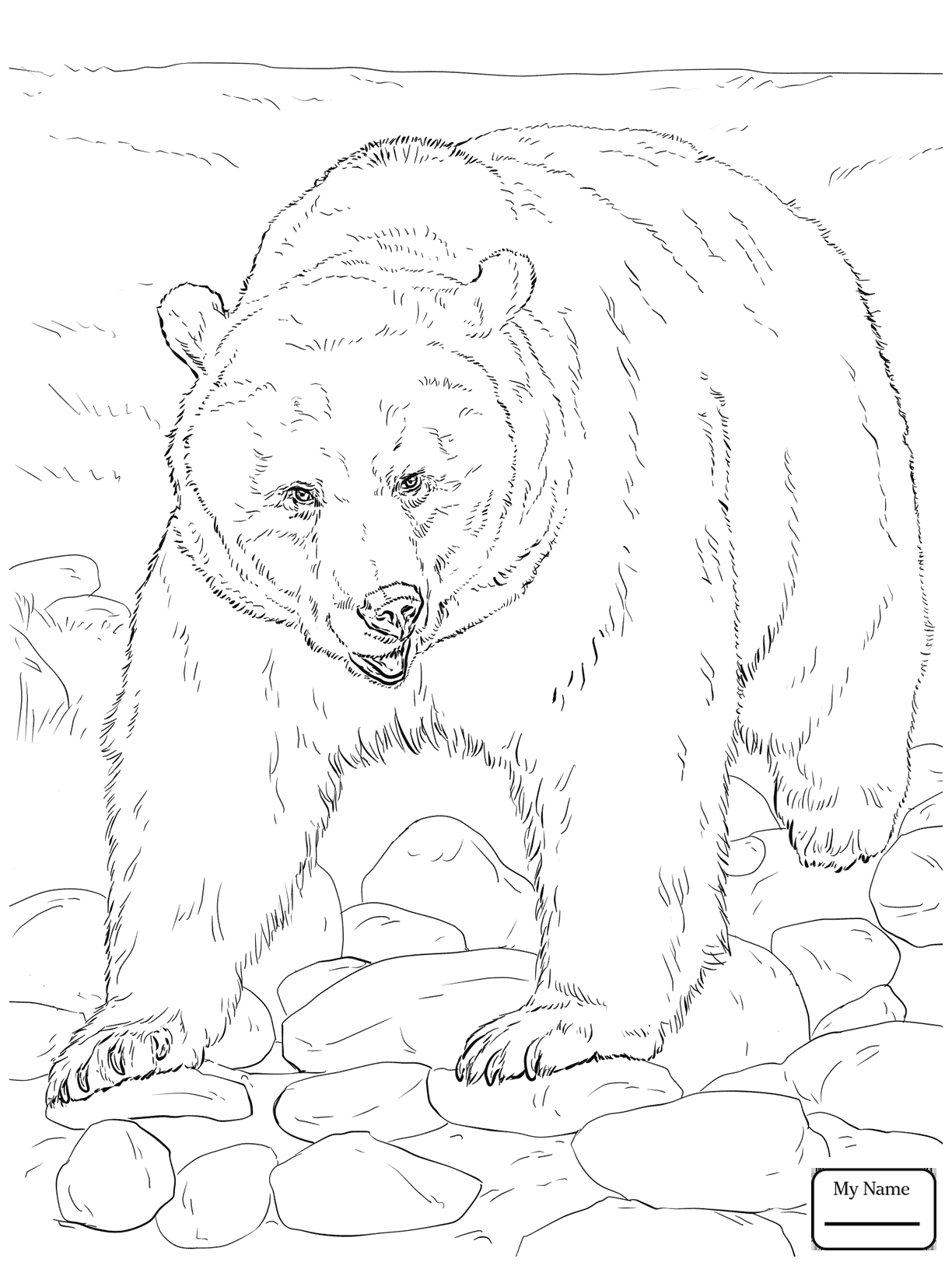 Bear Coloring Pages Free Printable 8