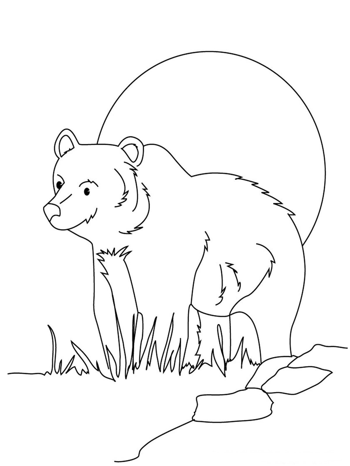 Bear Coloring Pages Free Printable 83