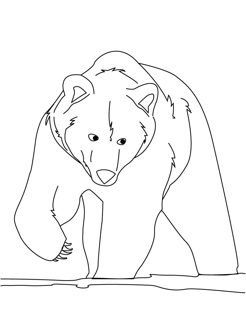 Bear Coloring Pages Free Printable 87