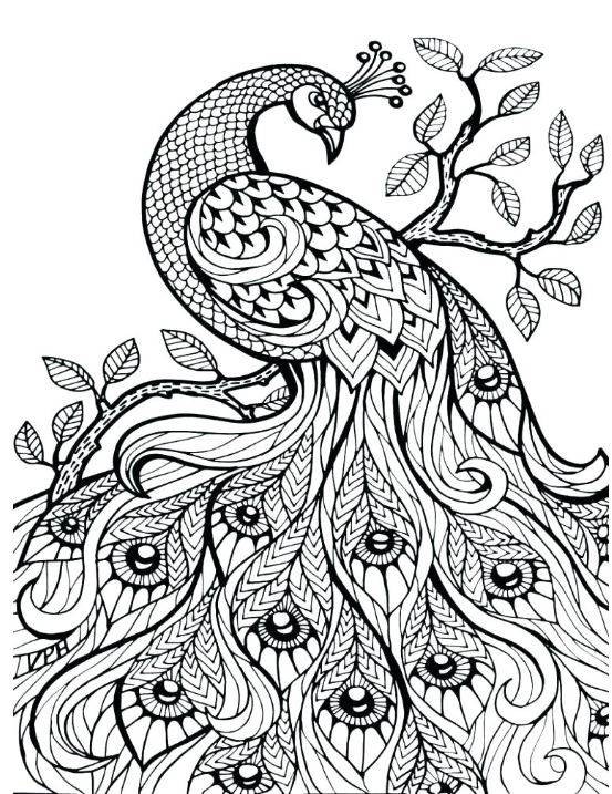 Cool Coloring Pages: 150 Designs to Keep You Entertained 116