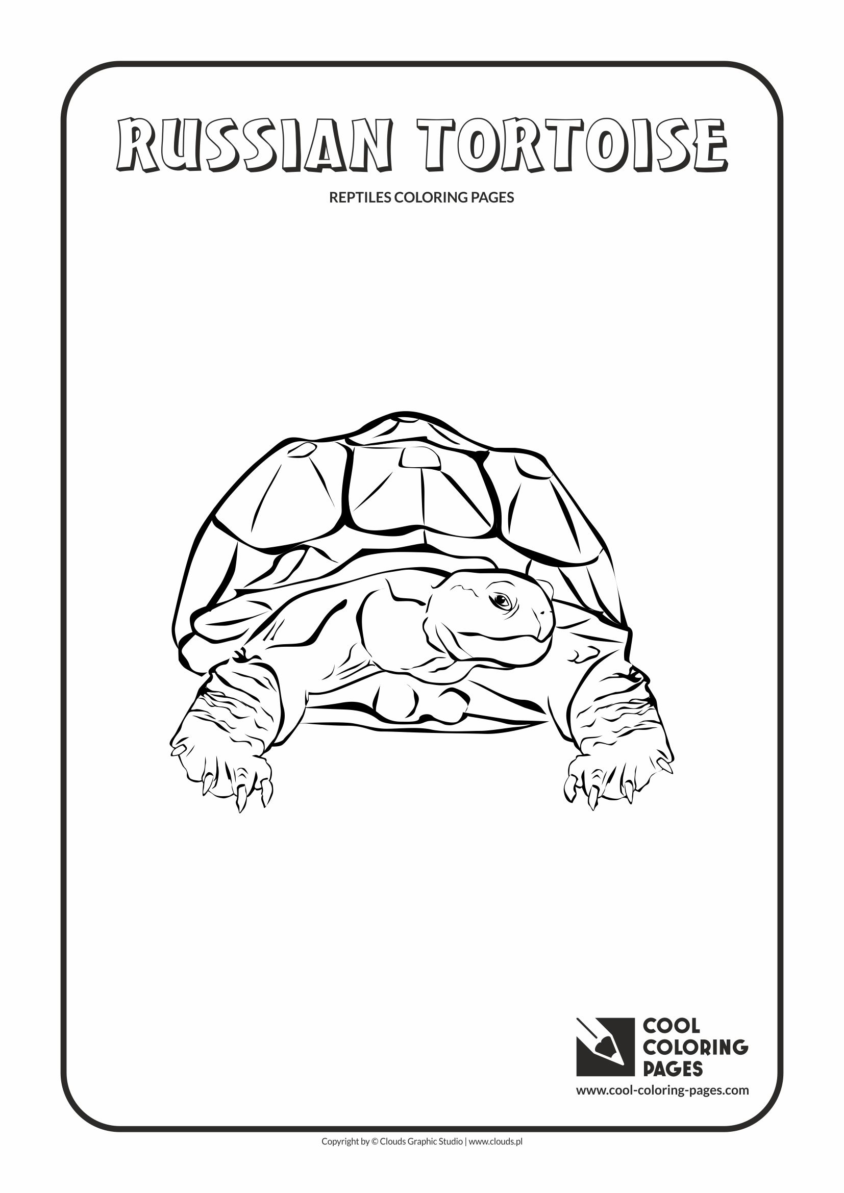 Cool Coloring Pages: 150 Designs to Keep You Entertained 57