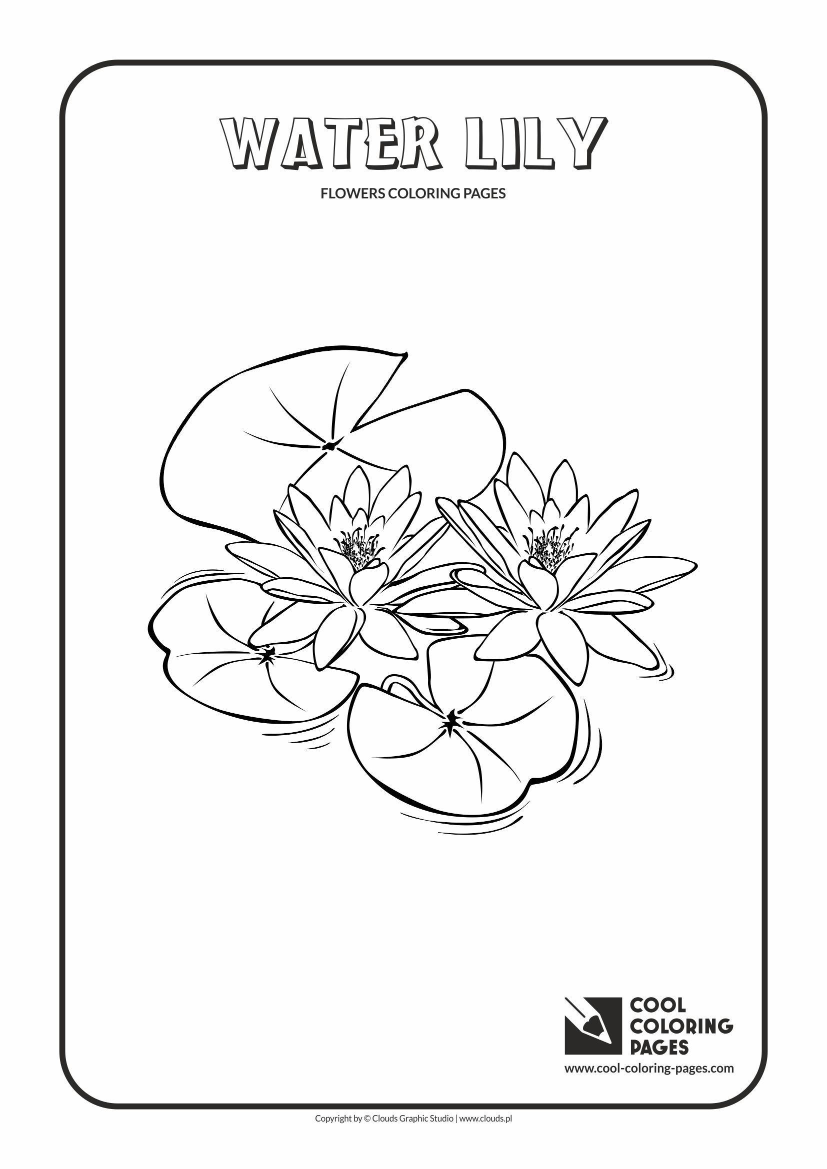 Cool Coloring Pages: 150 Designs to Keep You Entertained 67