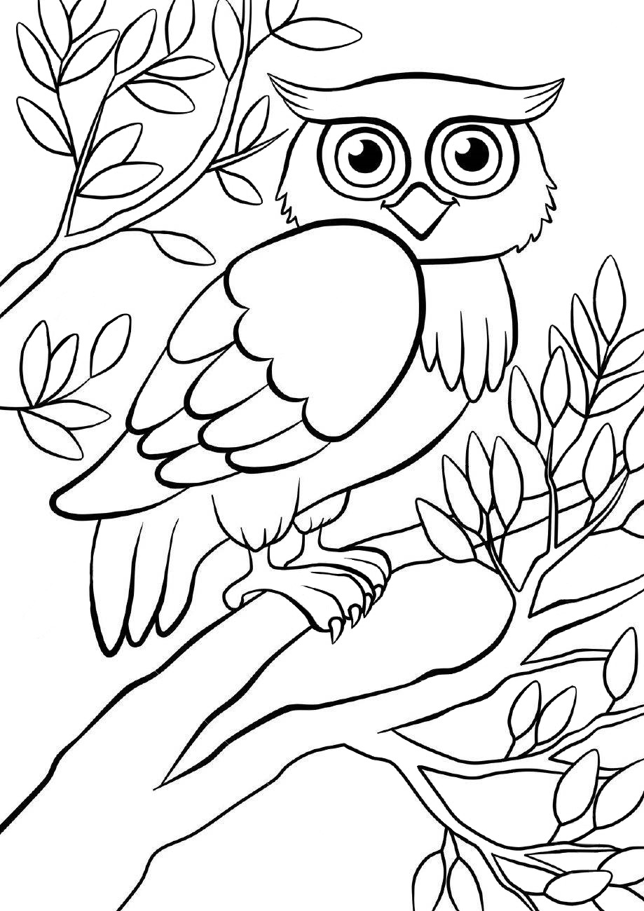 Cute Owl Coloring Pages FREE Printable 1