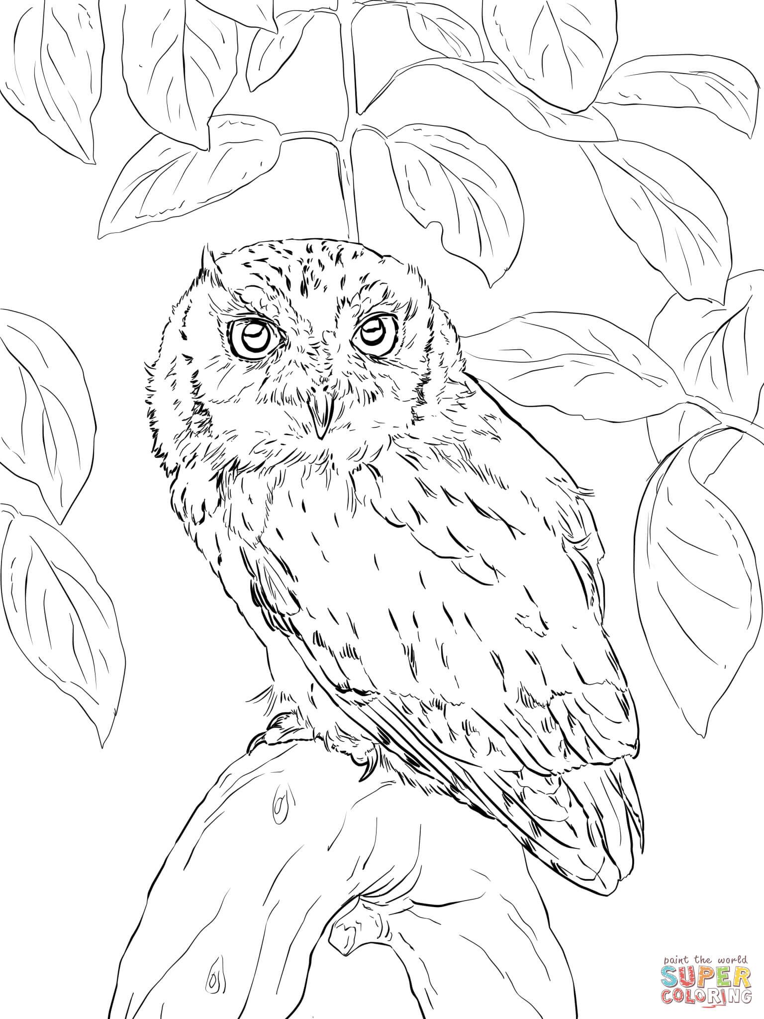 Cute Owl Coloring Pages FREE Printable 13