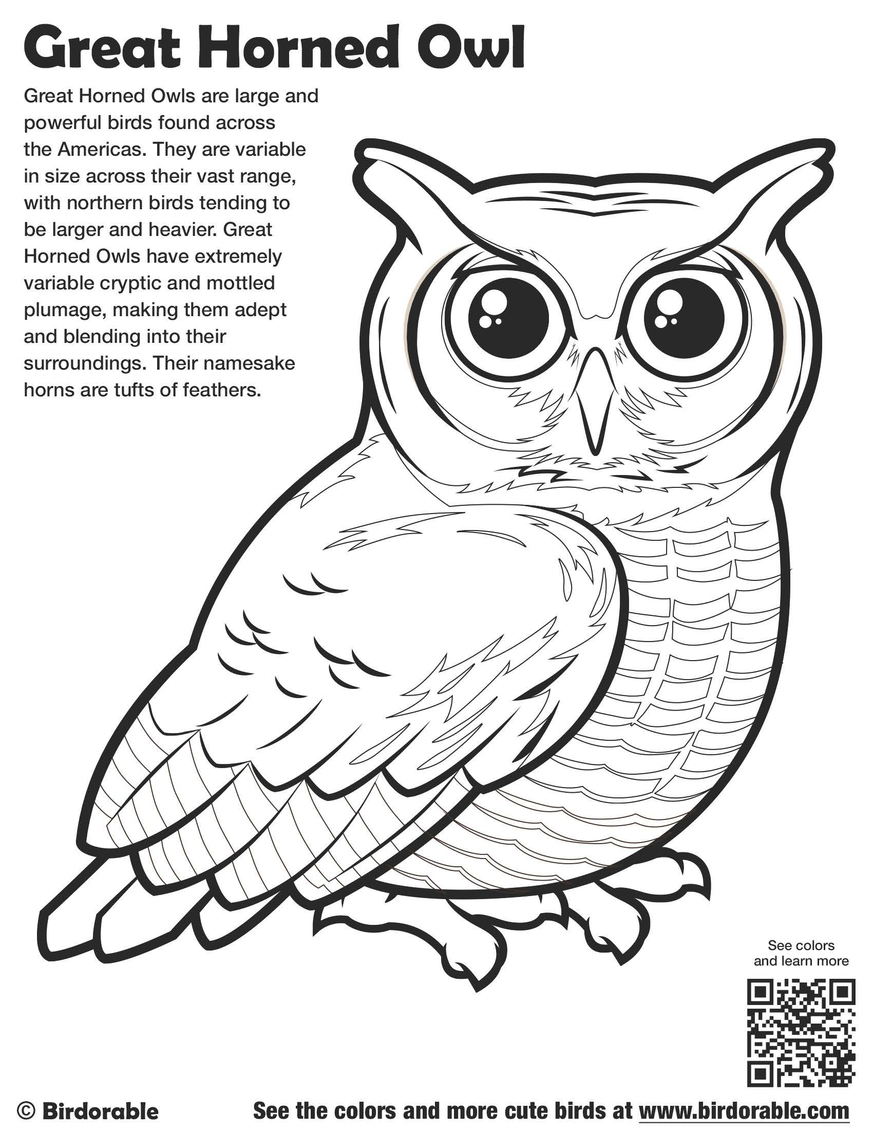 Cute Owl Coloring Pages FREE Printable 15