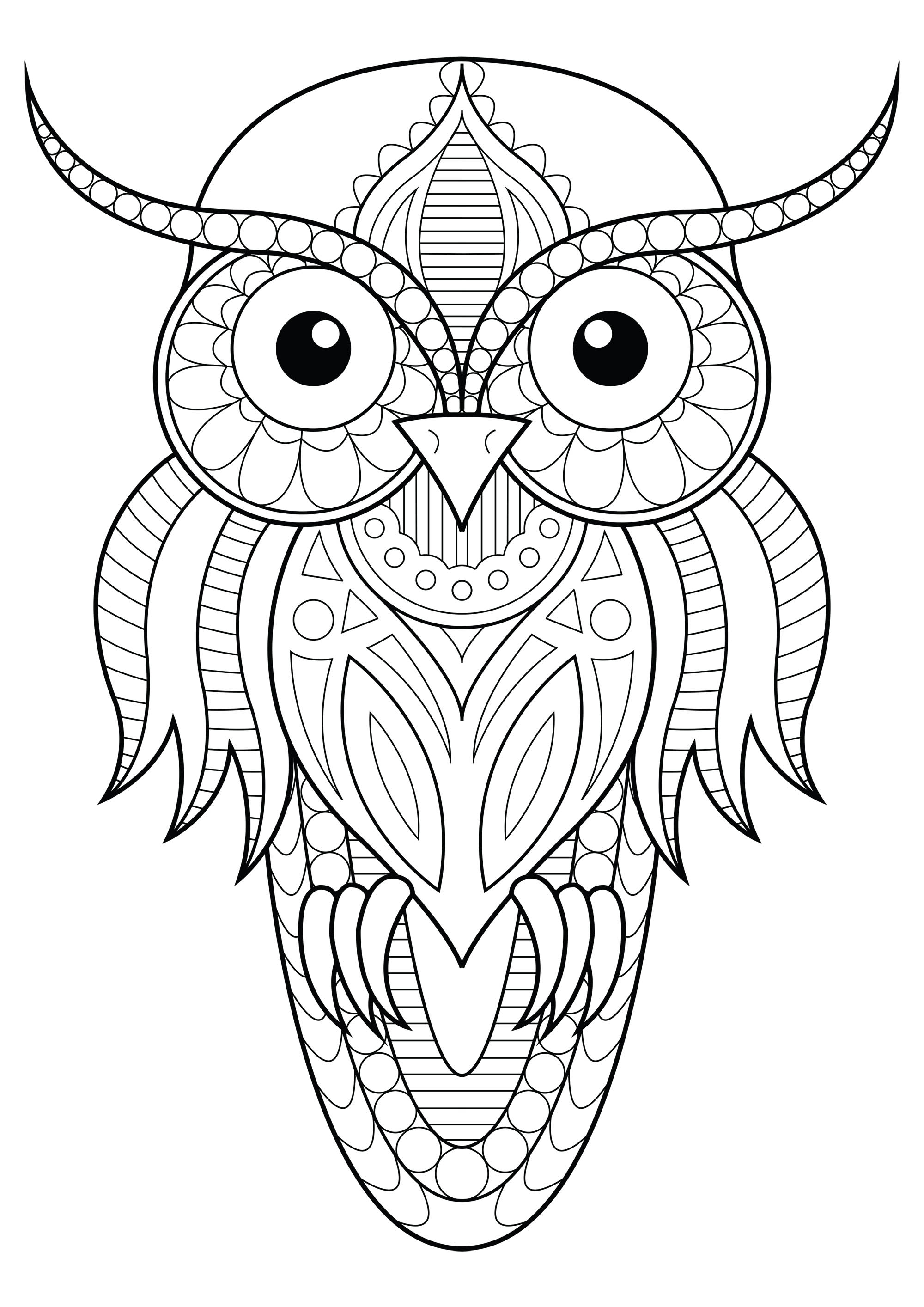 Cute Owl Coloring Pages FREE Printable 25