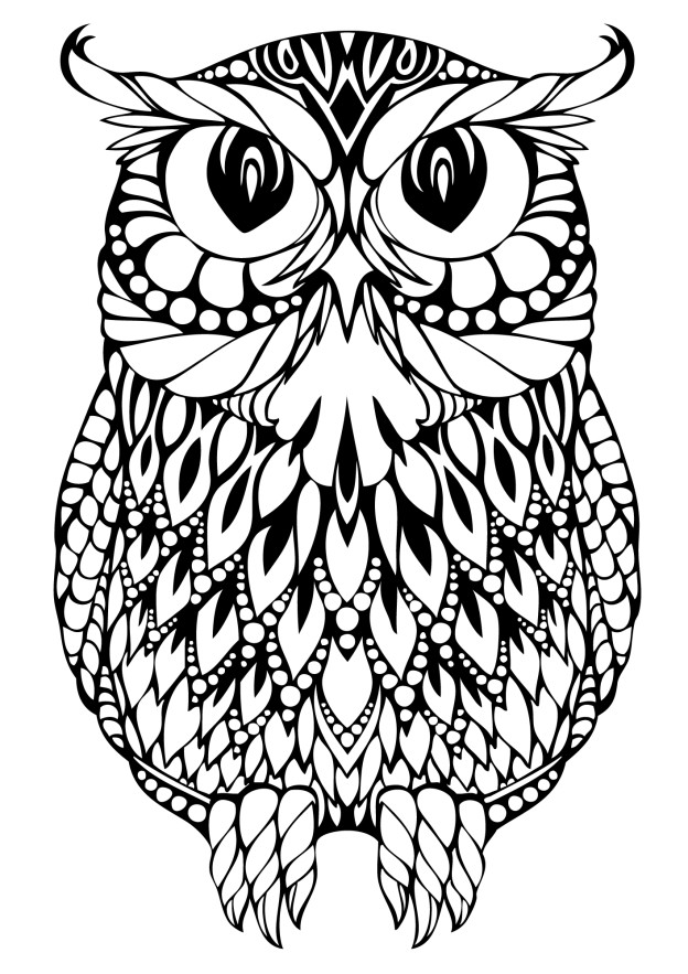 Cute Owl Coloring Pages FREE Printable 29