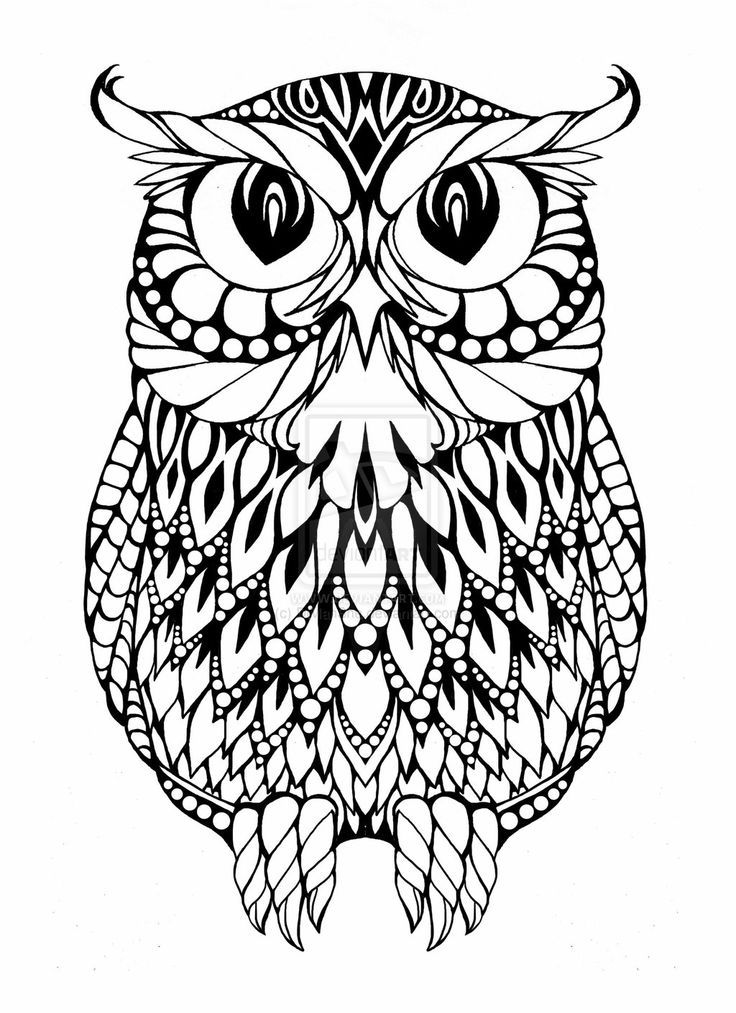 Cute Owl Coloring Pages FREE Printable 32