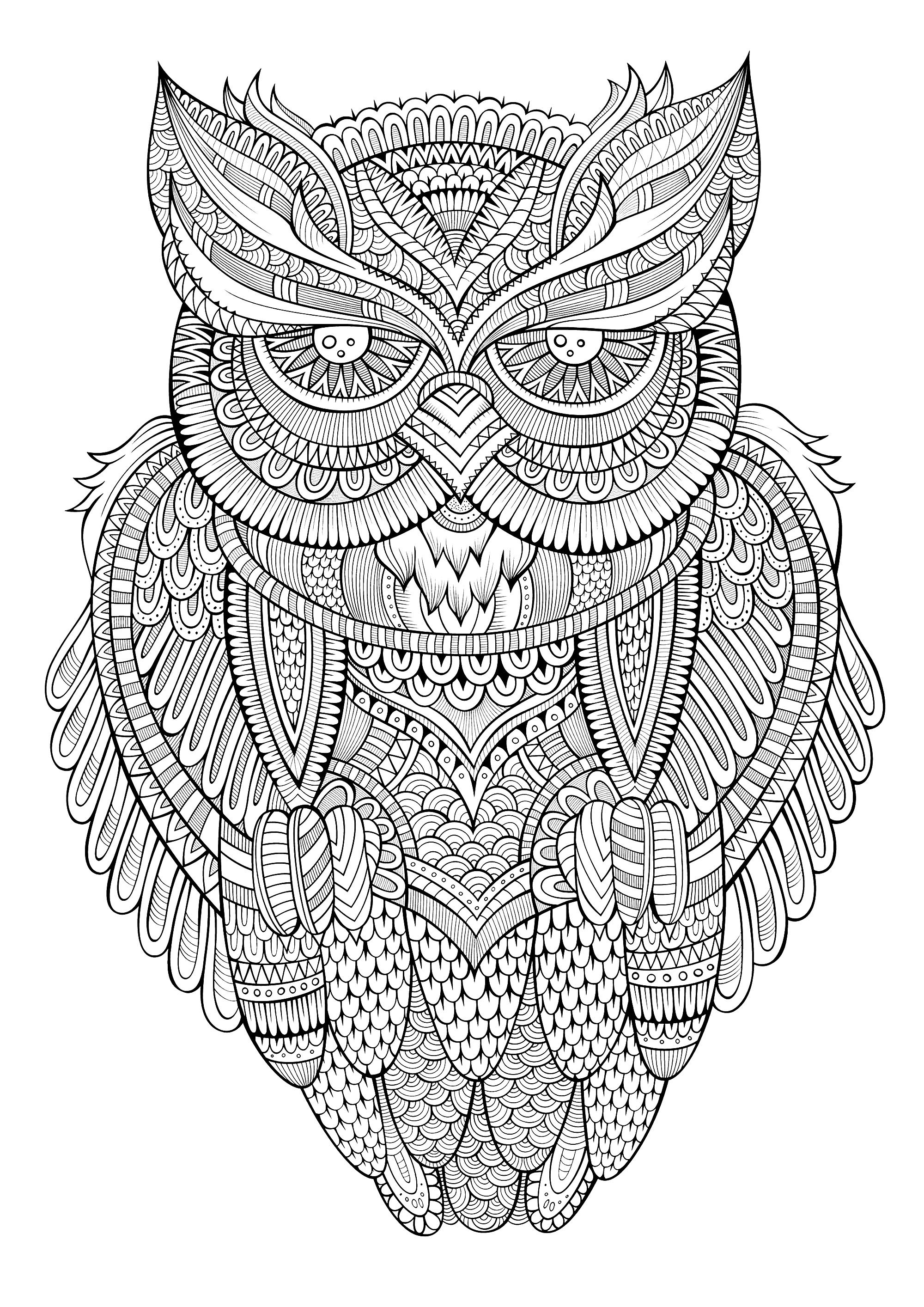 Cute Owl Coloring Pages FREE Printable 34