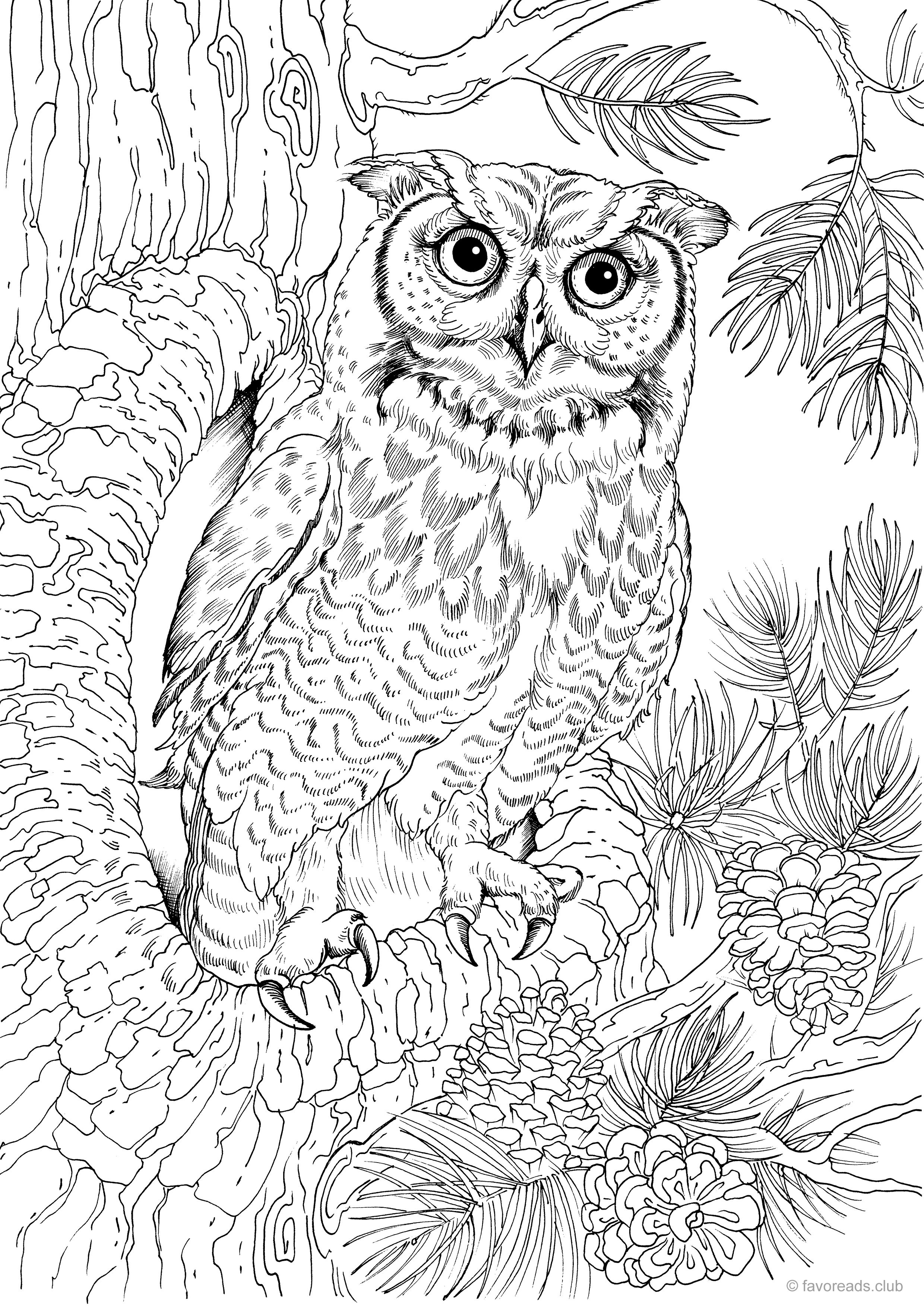 Cute Owl Coloring Pages FREE Printable 35