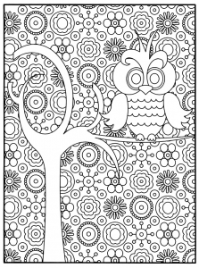 Cute Owl Coloring Pages FREE Printable 43