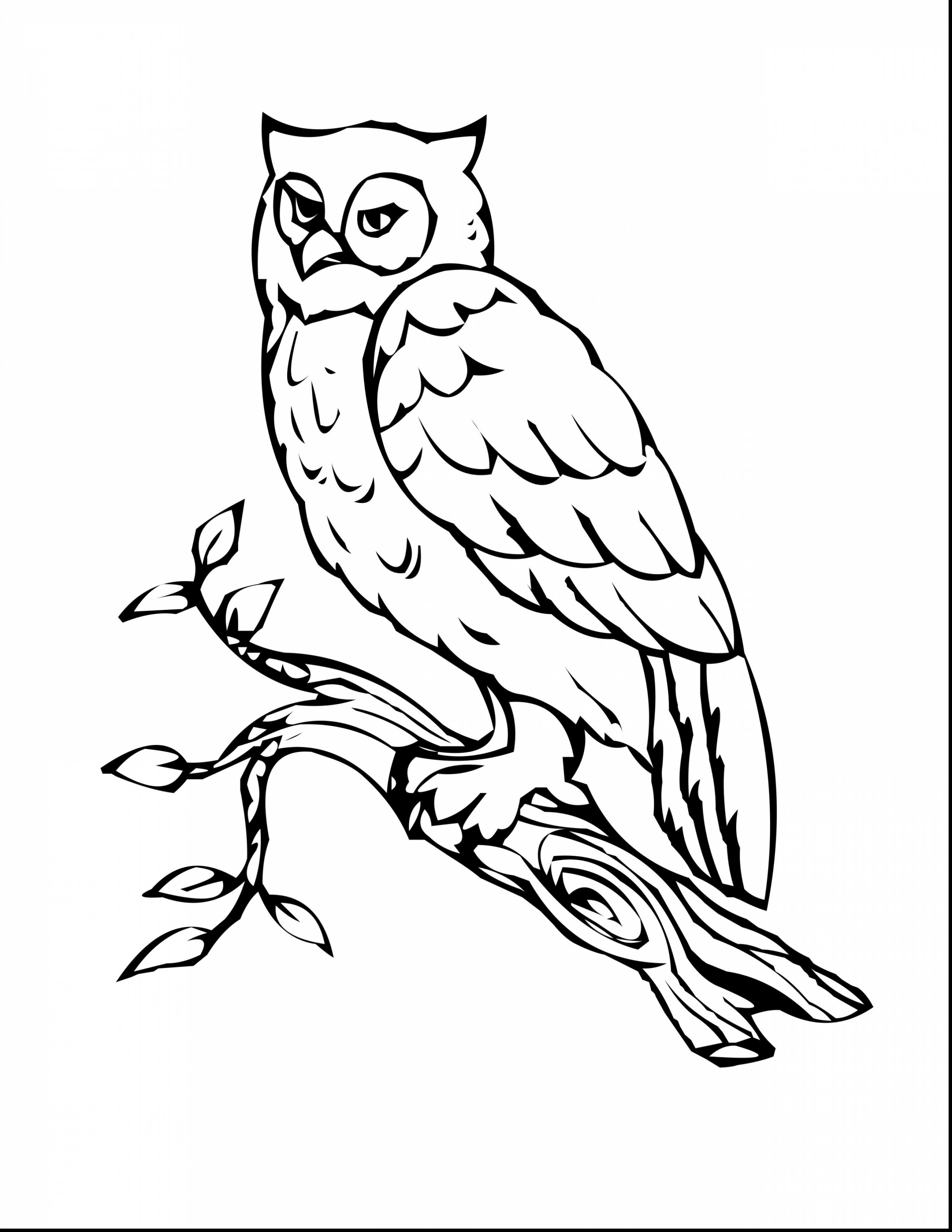 Cute Owl Coloring Pages FREE Printable 44