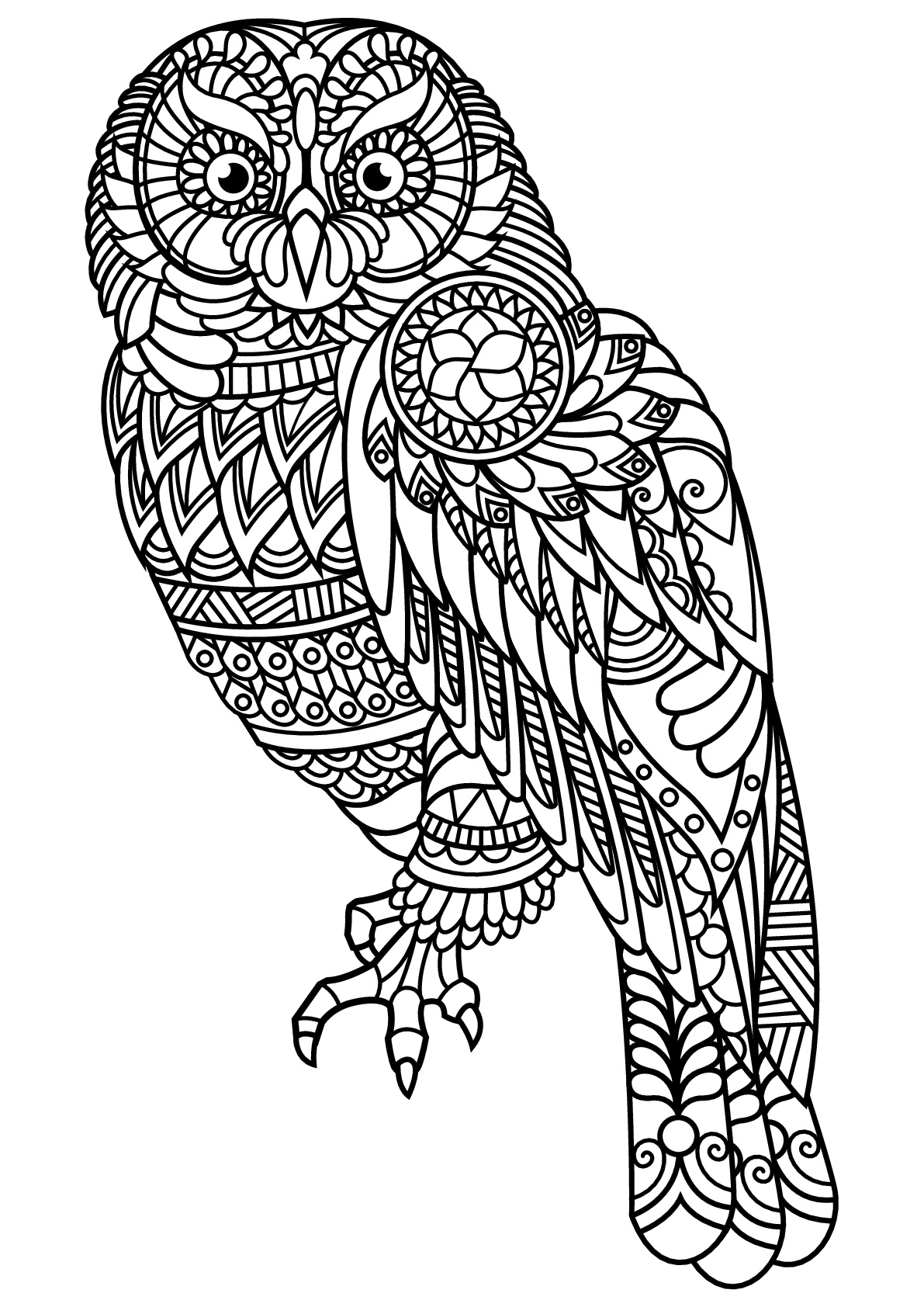 Cute Owl Coloring Pages FREE Printable 45