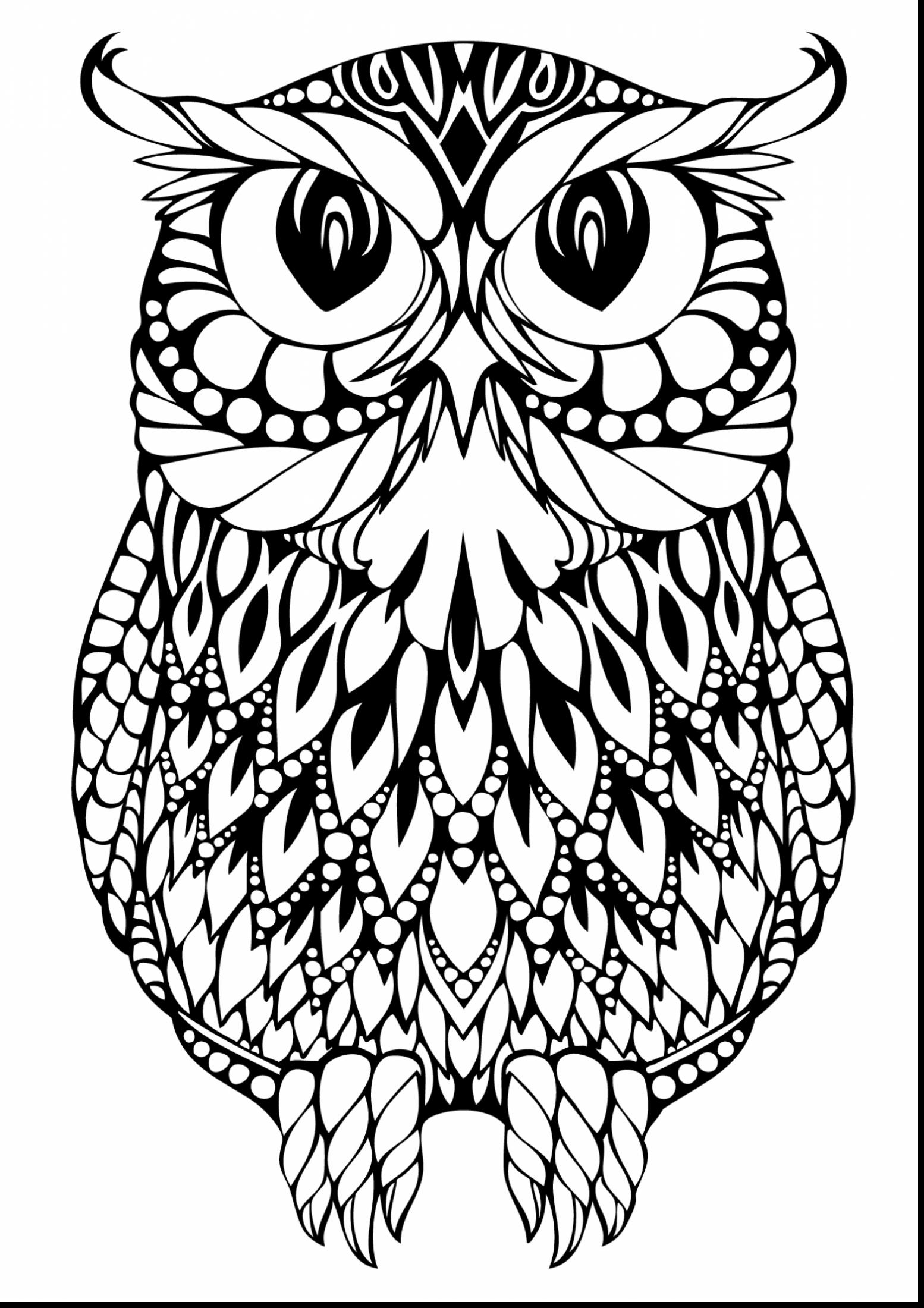 Cute Owl Coloring Pages FREE Printable 46