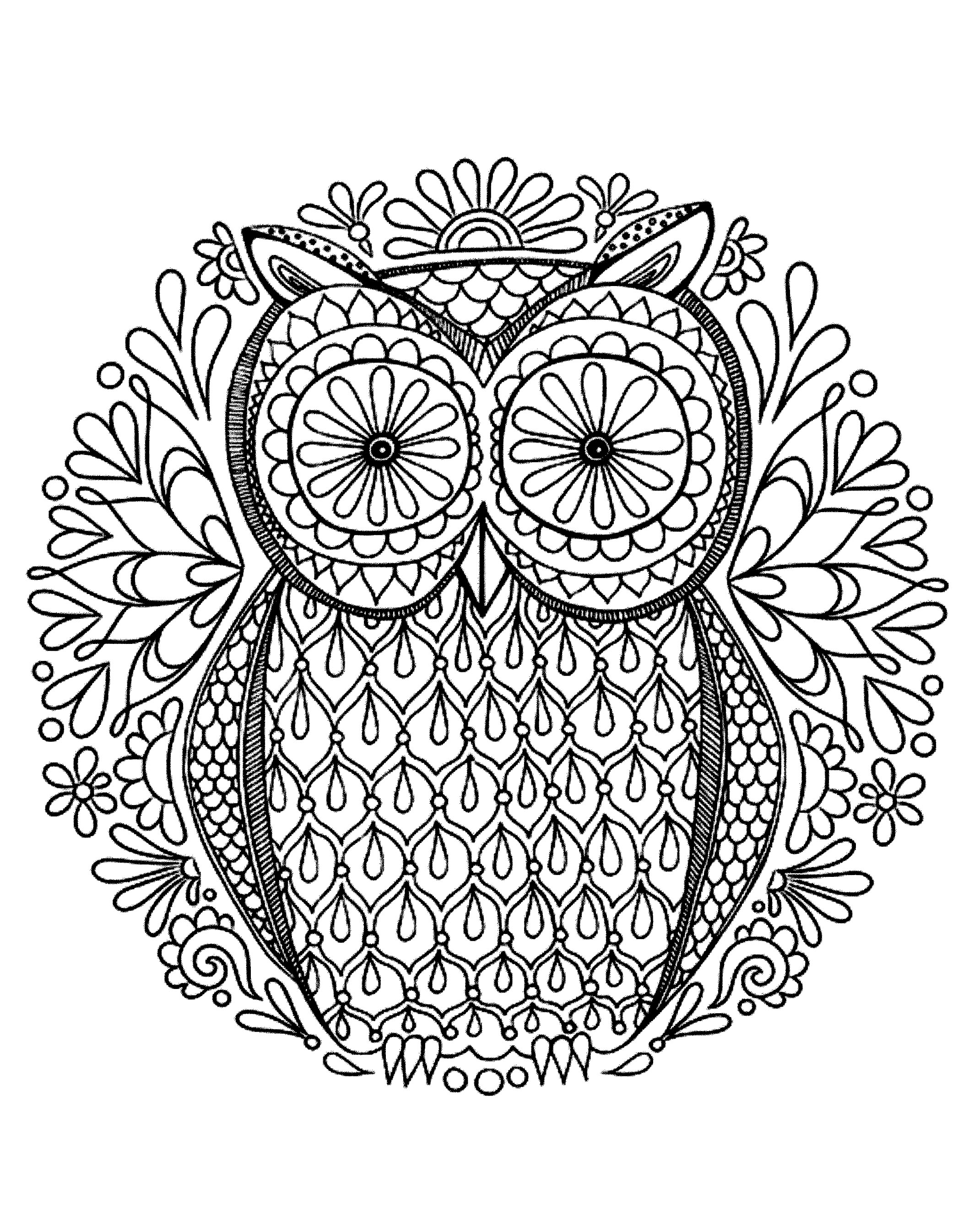 Cute Owl Coloring Pages FREE Printable 48