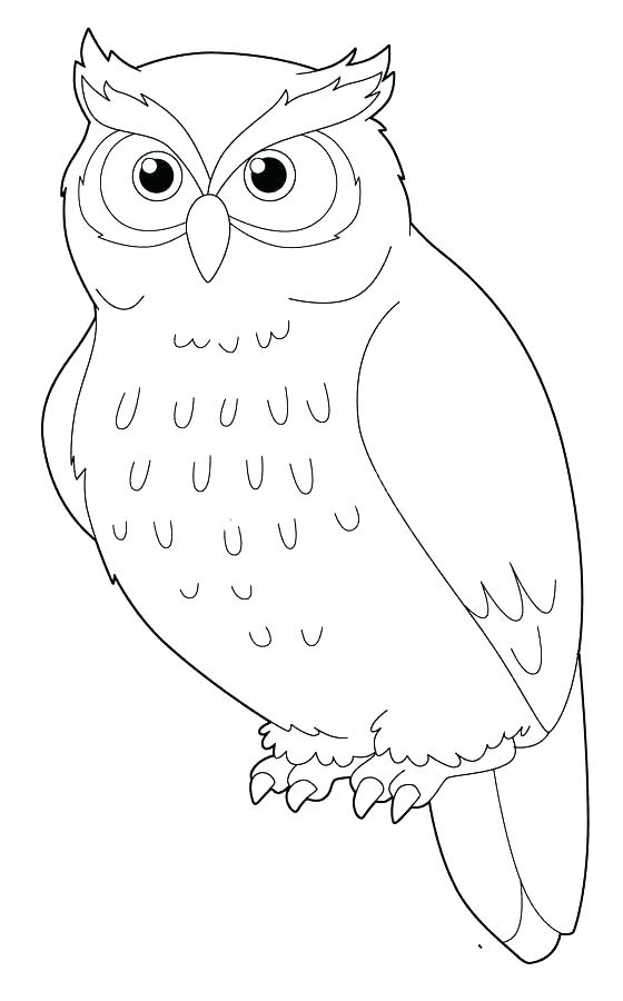 Cute Owl Coloring Pages FREE Printable 49