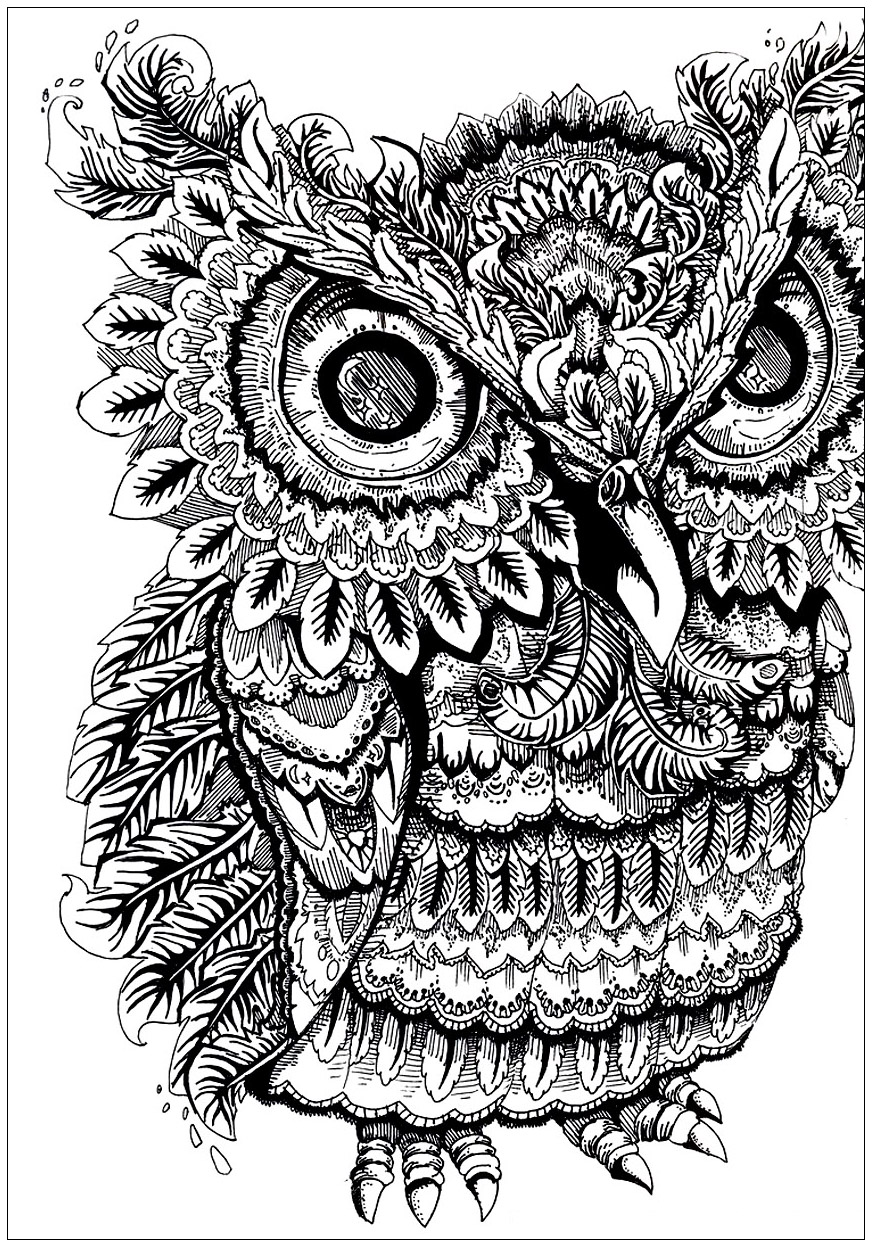 Cute Owl Coloring Pages FREE Printable 50