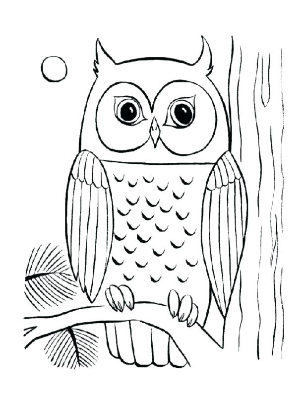 Cute Owl Coloring Pages FREE Printable 56